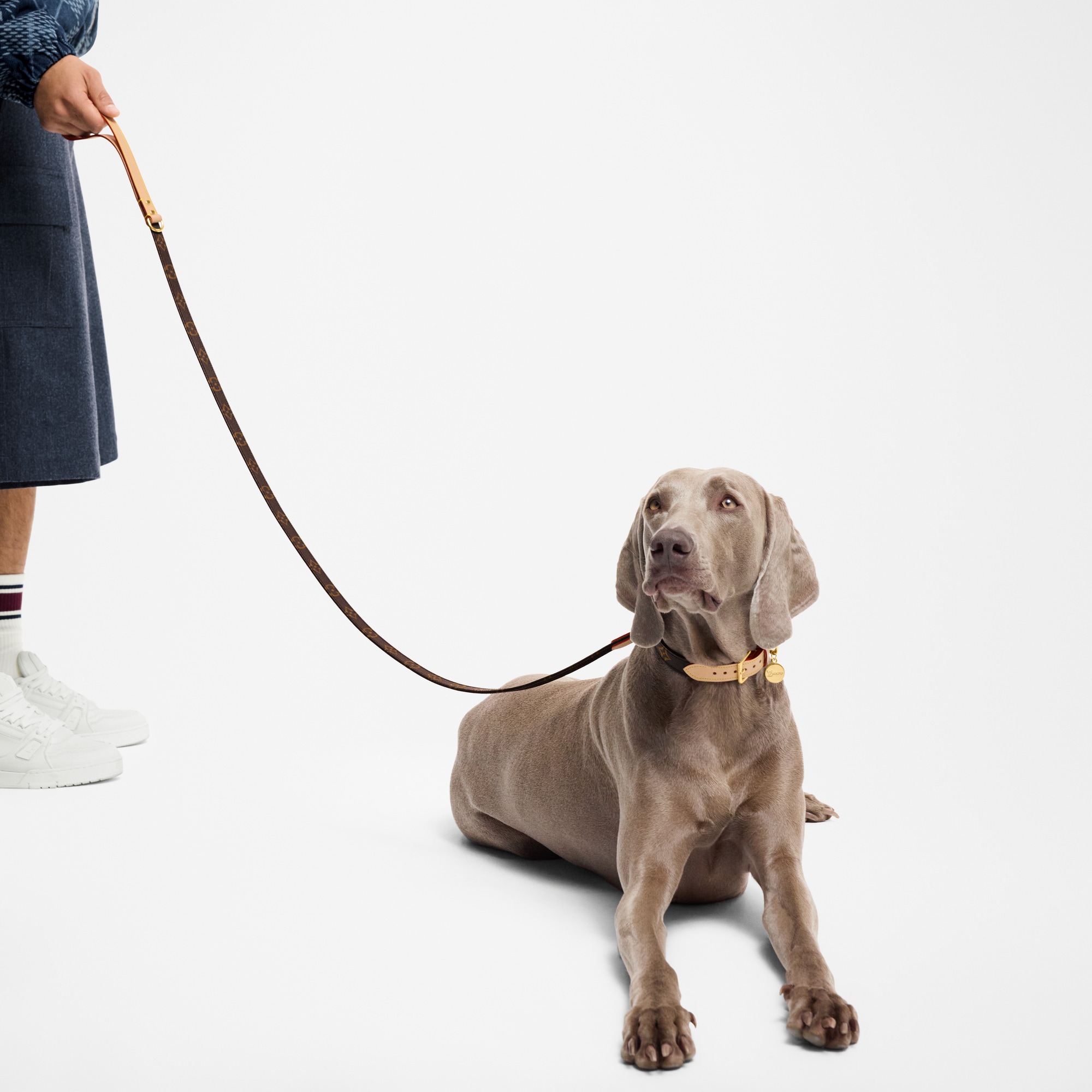 Dog Leash MM - Trunks, Travel and Home - Pets Accessories | LOUIS